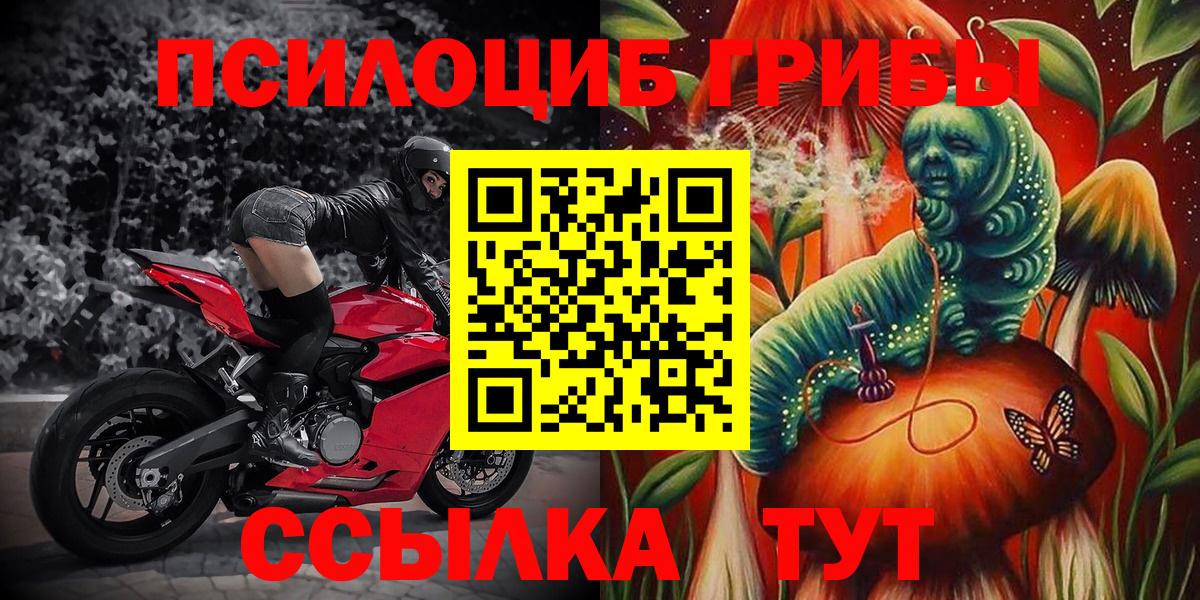 Галлюциногенные грибы Psilocybe  Галлюциногенные грибы Psilocybe  Вход с VPN  Липецк 