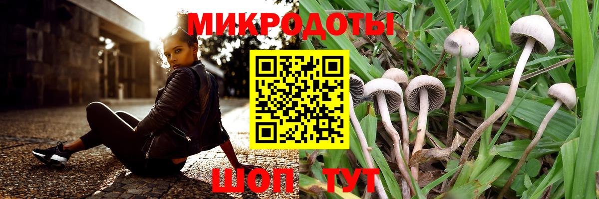 Псилоцибиновые грибы MAGIC MUSHROOMS Липецк